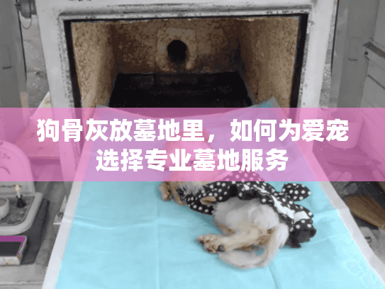 狗骨灰放墓地里，如何为爱宠选择专业墓地服务