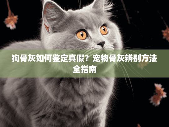 狗骨灰如何鉴定真假？宠物骨灰辨别方法全指南
