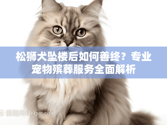 松狮犬坠楼后如何善终？专业宠物殡葬服务全面解析