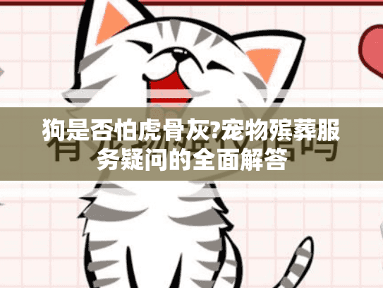 狗是否怕虎骨灰?宠物殡葬服务疑问的全面解答