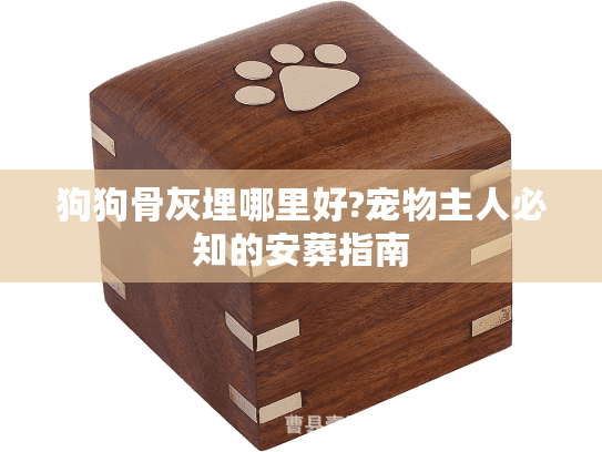 狗狗骨灰埋哪里好?宠物主人必知的安葬指南