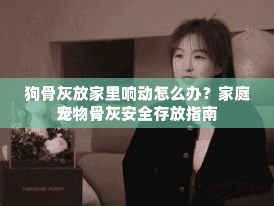 狗骨灰放家里响动怎么办？家庭宠物骨灰安全存放指南