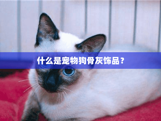 什么是宠物狗骨灰饰品？