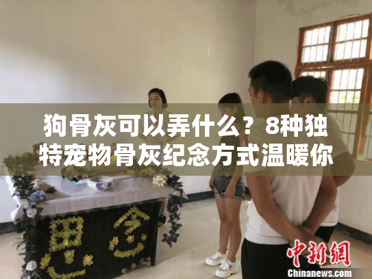狗骨灰可以弄什么？8种独特宠物骨灰纪念方式温暖你心
