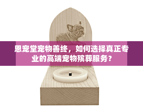恩宠堂宠物善终，如何选择真正专业的高端宠物殡葬服务？