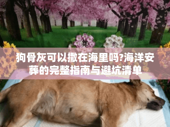狗骨灰可以撒在海里吗?海洋安葬的完整指南与避坑清单