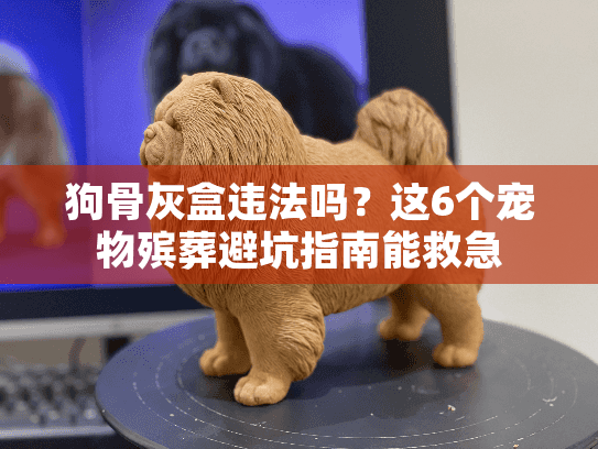 狗骨灰盒违法吗？这6个宠物殡葬避坑指南能救急
