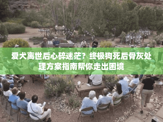爱犬离世后心碎迷茫？终极狗死后骨灰处理方案指南帮你走出困境