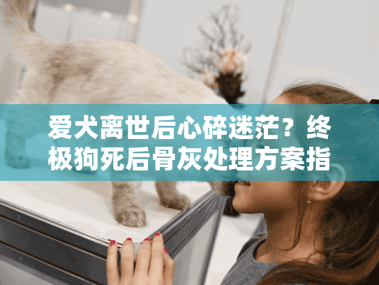 爱犬离世后心碎迷茫？终极狗死后骨灰处理方案指南帮你走出困境