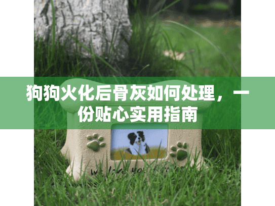 狗狗火化后骨灰如何处理，一份贴心实用指南