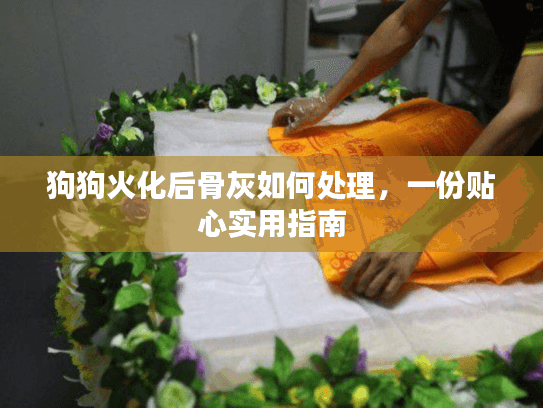 狗狗火化后骨灰如何处理，一份贴心实用指南