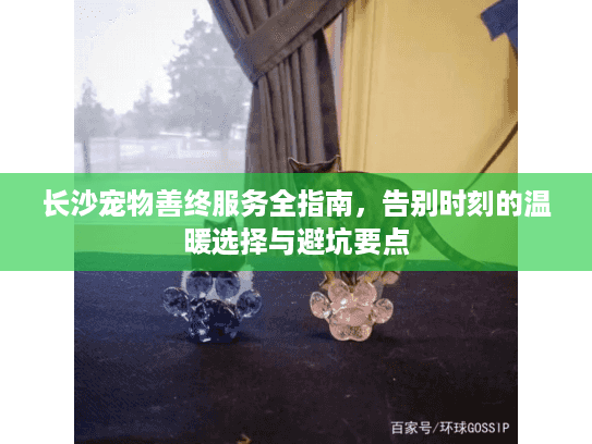 长沙宠物善终服务全指南，告别时刻的温暖选择与避坑要点