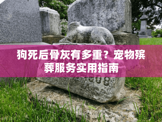 狗死后骨灰有多重？宠物殡葬服务实用指南