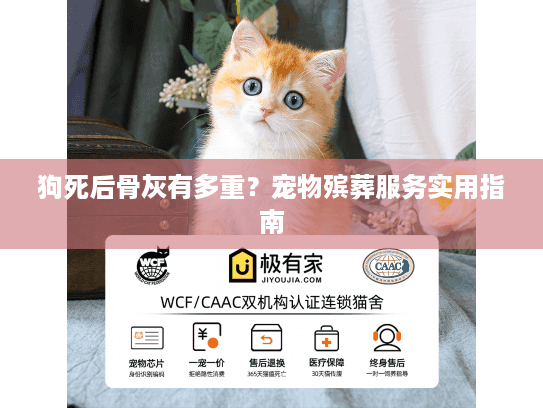 狗死后骨灰有多重？宠物殡葬服务实用指南
