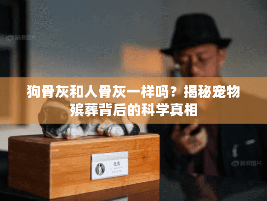 狗骨灰和人骨灰一样吗？揭秘宠物殡葬背后的科学真相