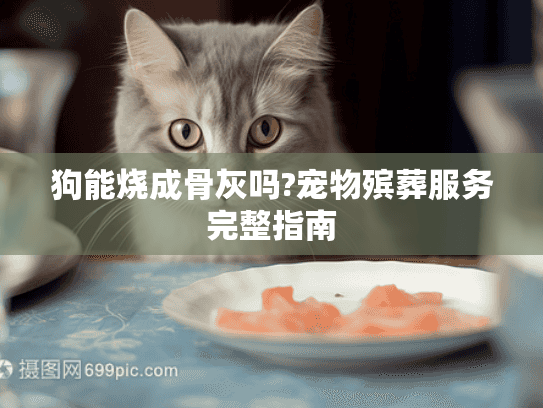 狗能烧成骨灰吗?宠物殡葬服务完整指南
