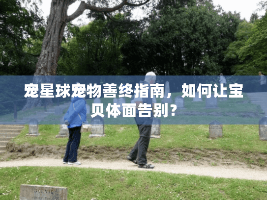 宠星球宠物善终指南，如何让宝贝体面告别？