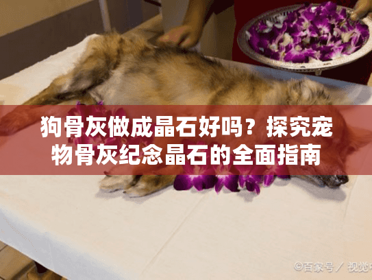 狗骨灰做成晶石好吗？探究宠物骨灰纪念晶石的全面指南