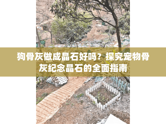 狗骨灰做成晶石好吗？探究宠物骨灰纪念晶石的全面指南