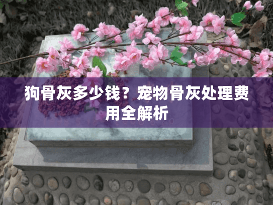 狗骨灰多少钱？宠物骨灰处理费用全解析
