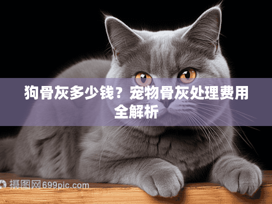 狗骨灰多少钱？宠物骨灰处理费用全解析