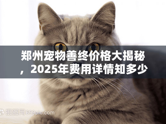 郑州宠物善终价格大揭秘，2025年费用详情知多少？