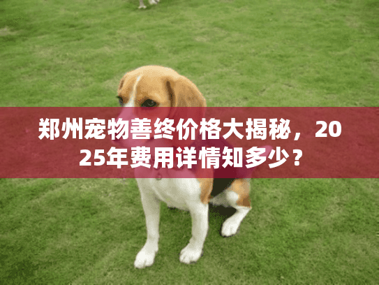 郑州宠物善终价格大揭秘，2025年费用详情知多少？