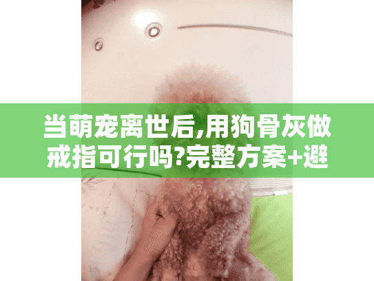 当萌宠离世后,用狗骨灰做戒指可行吗?完整方案+避坑指南