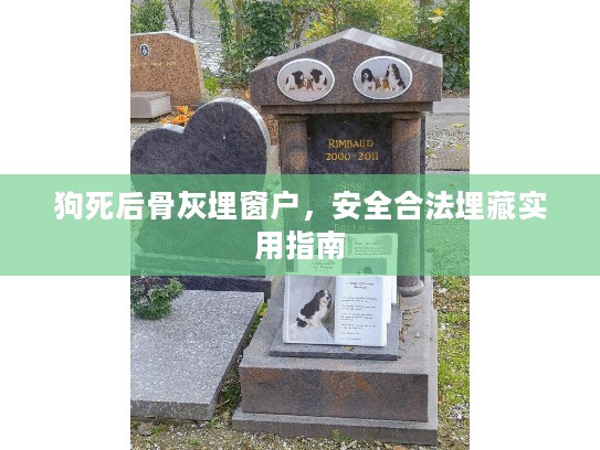 狗死后骨灰埋窗户，安全合法埋藏实用指南