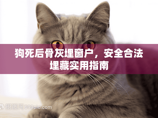 狗死后骨灰埋窗户，安全合法埋藏实用指南