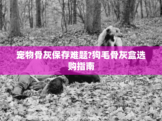 宠物骨灰保存难题?狗毛骨灰盒选购指南