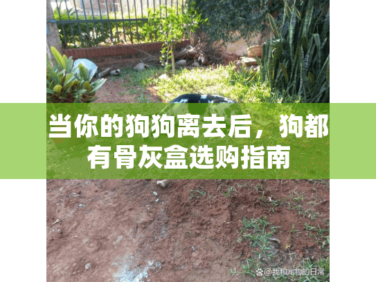 当你的狗狗离去后，狗都有骨灰盒选购指南