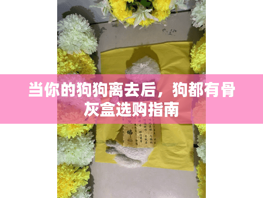当你的狗狗离去后，狗都有骨灰盒选购指南