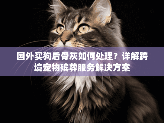 国外买狗后骨灰如何处理？详解跨境宠物殡葬服务解决方案