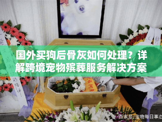 国外买狗后骨灰如何处理？详解跨境宠物殡葬服务解决方案