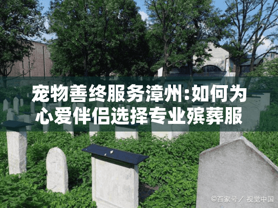 宠物善终服务漳州:如何为心爱伴侣选择专业殡葬服务?