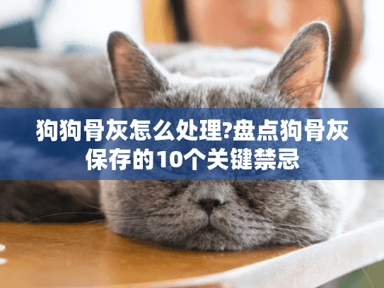 狗狗骨灰怎么处理?盘点狗骨灰保存的10个关键禁忌