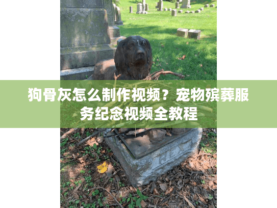 狗骨灰怎么制作视频？宠物殡葬服务纪念视频全教程