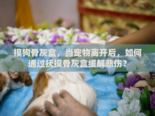 摸狗骨灰盒，当宠物离开后，如何通过抚摸骨灰盒缓解悲伤？