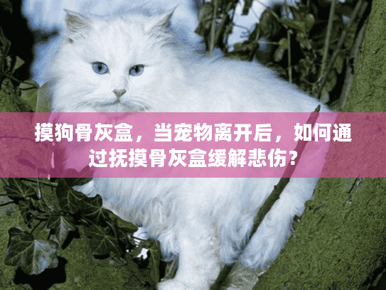 摸狗骨灰盒，当宠物离开后，如何通过抚摸骨灰盒缓解悲伤？