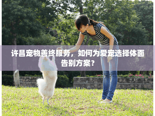 许昌宠物善终服务，如何为爱宠选择体面告别方案？
