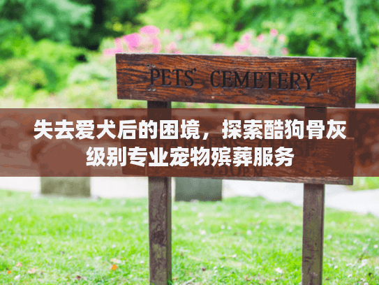 失去爱犬后的困境，探索酷狗骨灰级别专业宠物殡葬服务