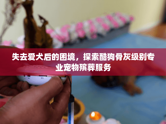 失去爱犬后的困境，探索酷狗骨灰级别专业宠物殡葬服务