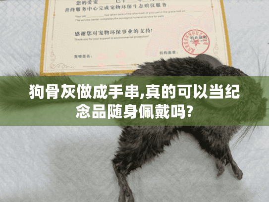 狗骨灰做成手串,真的可以当纪念品随身佩戴吗?