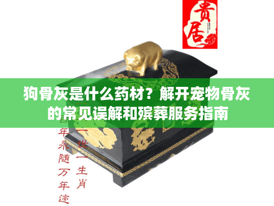 狗骨灰是什么药材？解开宠物骨灰的常见误解和殡葬服务指南