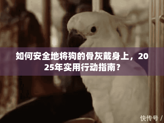 如何安全地将狗的骨灰戴身上，2025年实用行动指南？