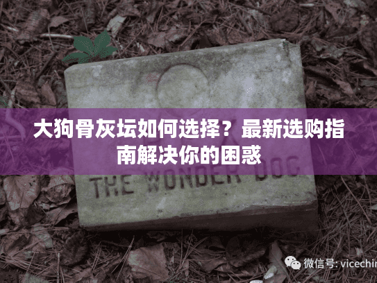 大狗骨灰坛如何选择？最新选购指南解决你的困惑