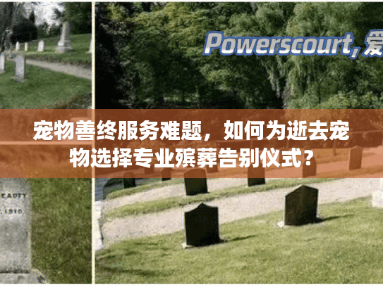 宠物善终服务难题，如何为逝去宠物选择专业殡葬告别仪式？