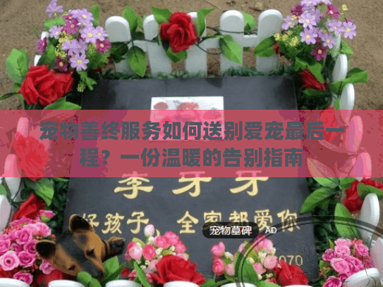 宠物善终服务如何送别爱宠最后一程？一份温暖的告别指南