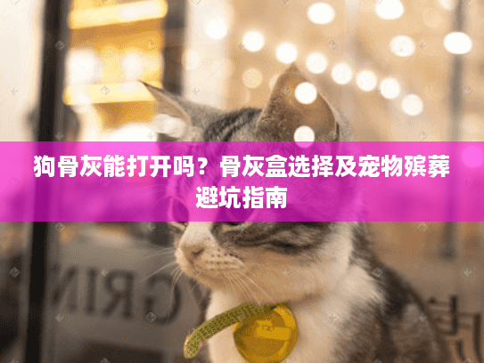 狗骨灰能打开吗？骨灰盒选择及宠物殡葬避坑指南